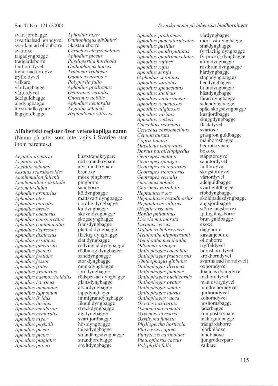 ädelguldbagge älgdyngbagge älvstrandkrypare ängsjordbagge Aphodius niger Onthophagus gibbulus) >kastanjeborre Ce ruchus chrys omelinus Aphodius piceus Phyllopertha ho rtico La Onthophagus taurus