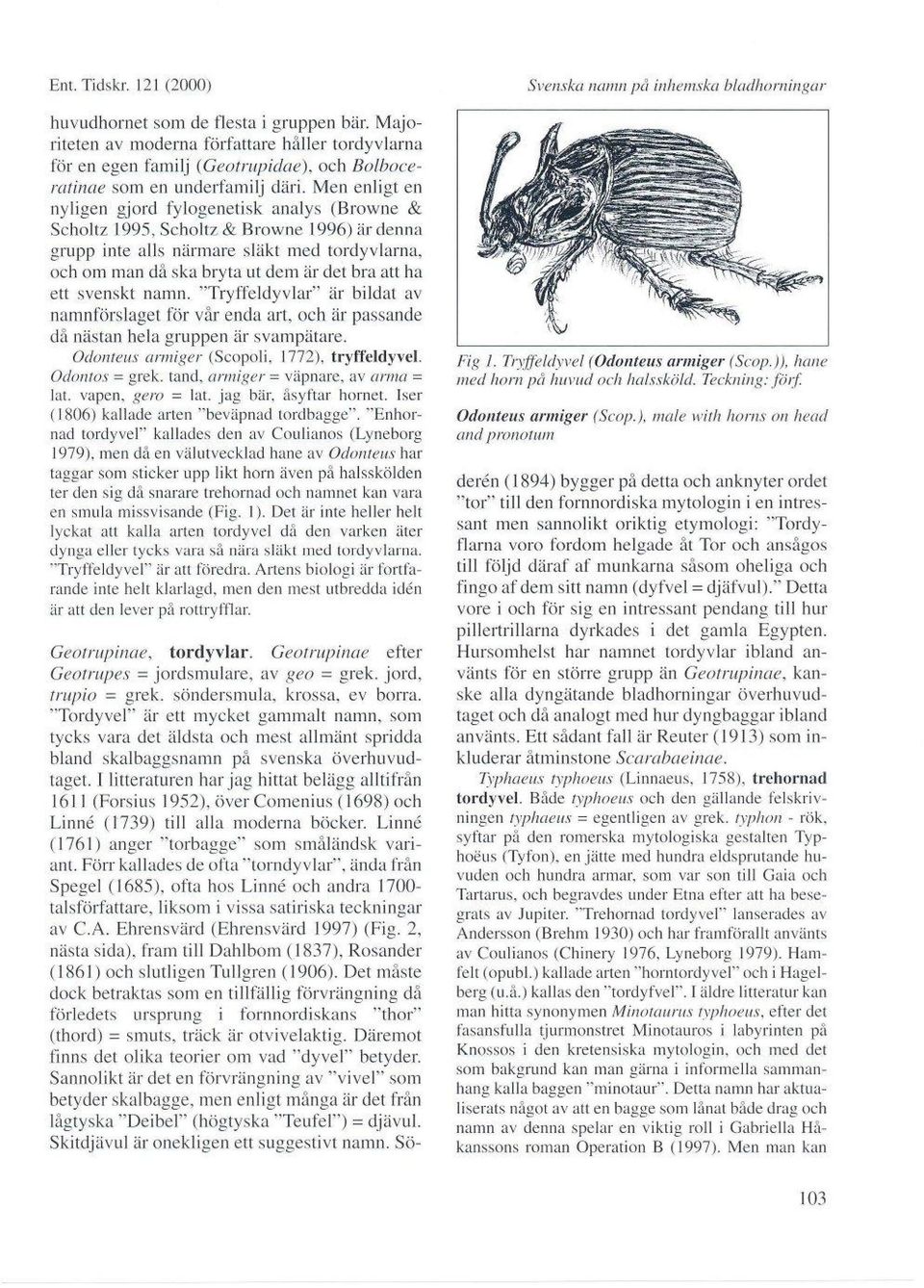Scholtz & Browne 1996) är denna grupp inte alls närmare släkt med tordyvlarna, och om man då ska bryta ut dem är det bra att ha ett svenskt namn.