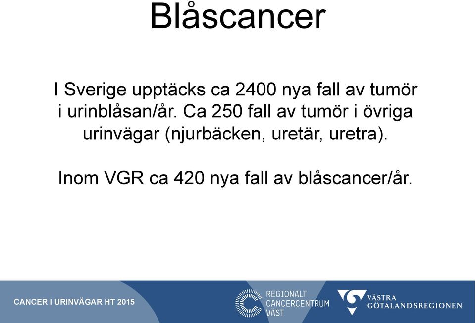 Ca 250 fall av tumör i övriga urinvägar