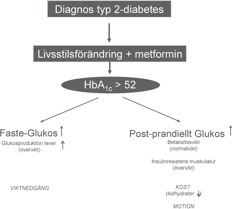 Post-prandiellt Glukos Betacellssvikt (normalvikt)