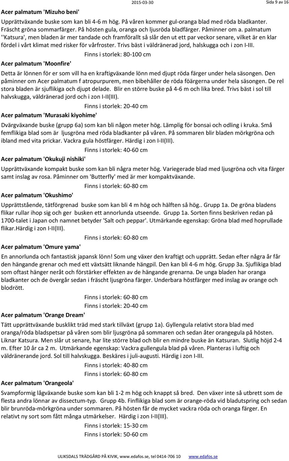 palmatum ''Katsura', men bladen är mer tandade och framförallt så slår den ut ett par veckor senare, vilket är en klar fördel i vårt klimat med risker för vårfroster.