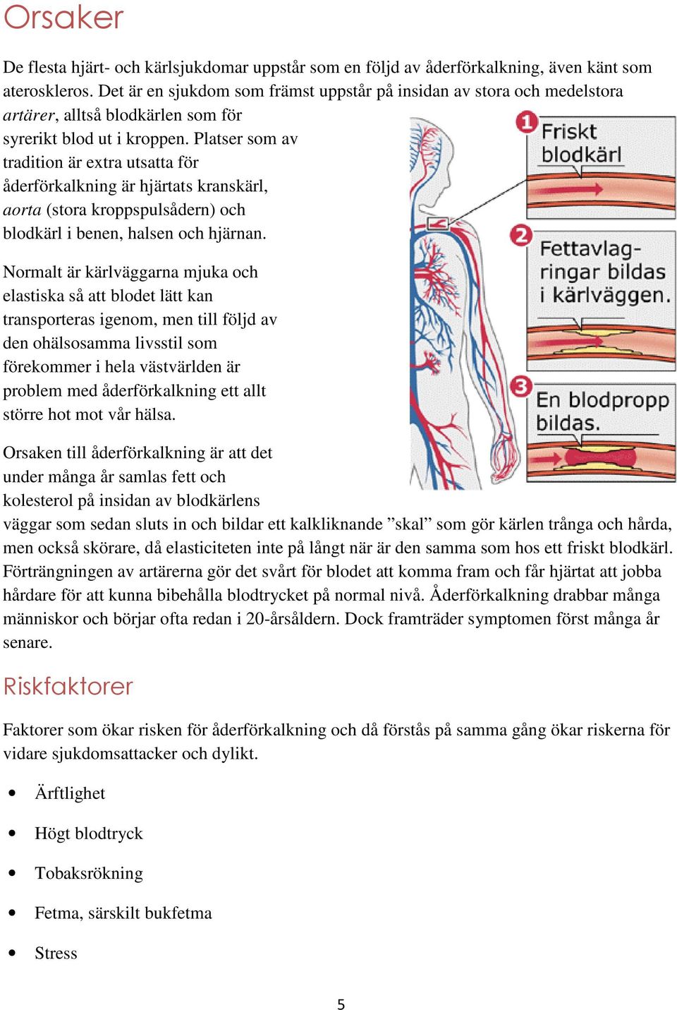 Platser som av tradition är extra utsatta för åderförkalkning är hjärtats kranskärl, aorta (stora kroppspulsådern) och blodkärl i benen, halsen och hjärnan.