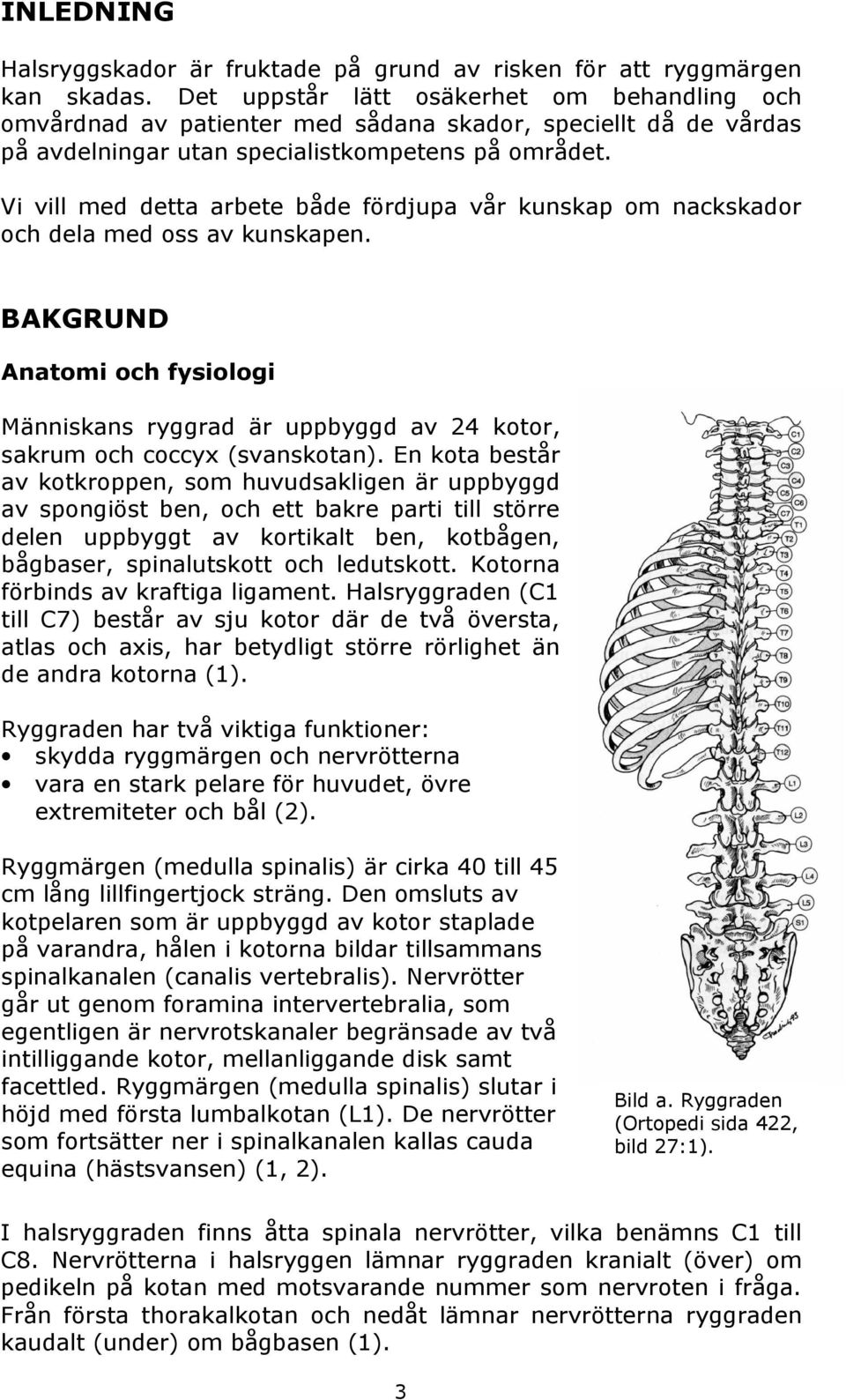 Vi vill med detta arbete både fördjupa vår kunskap om nackskador och dela med oss av kunskapen.