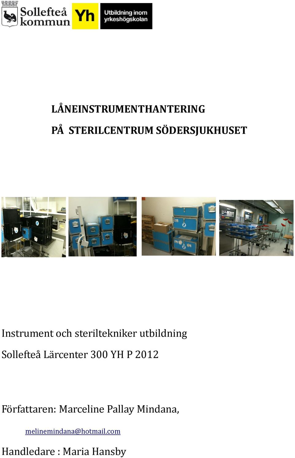 Lärcenter 300 YH P 2012 Författaren: Marceline Pallay