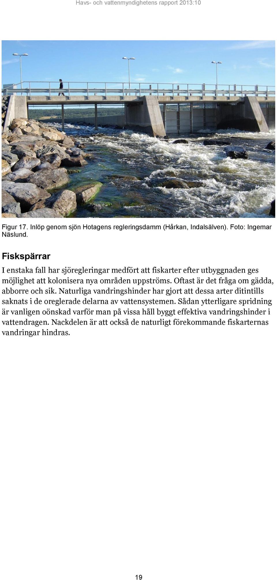 Oftast är det fråga om gädda, abborre och sik.