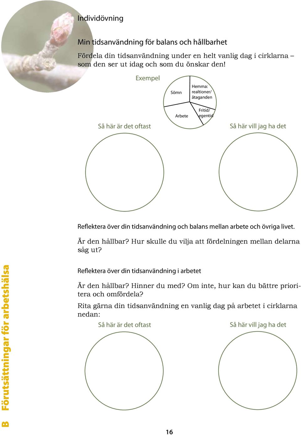 övriga livet. Är den hållbar? Hur skulle du vilja att fördelningen mellan delarna såg ut?