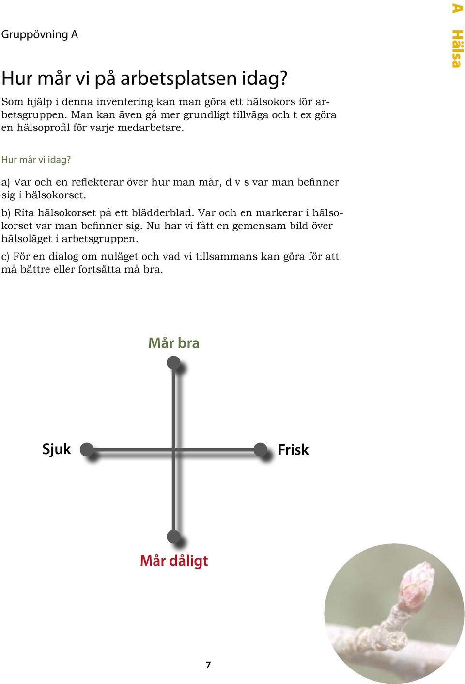 a) Var och en reflekterar över hur man mår, d v s var man befinner sig i hälsokorset. b) Rita hälsokorset på ett blädderblad.