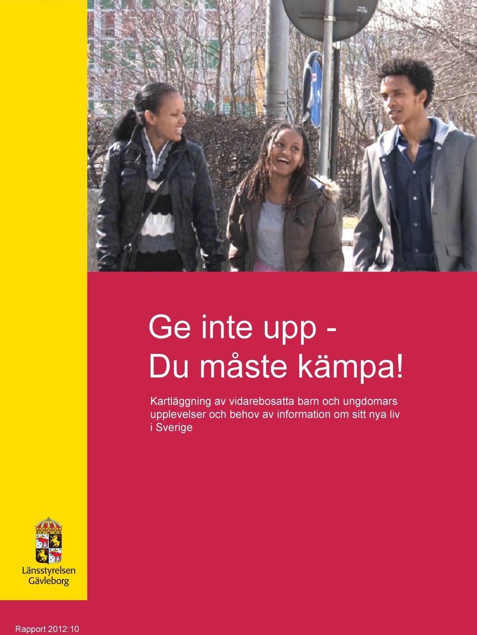 ungdomars upplevelser och behov av
