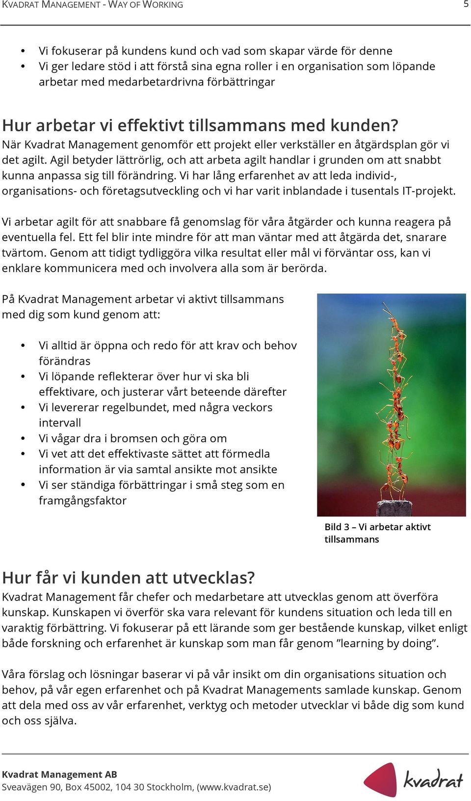 Agil betyder lättrörlig, och att arbeta agilt handlar i grunden om att snabbt kunna anpassa sig till förändring.