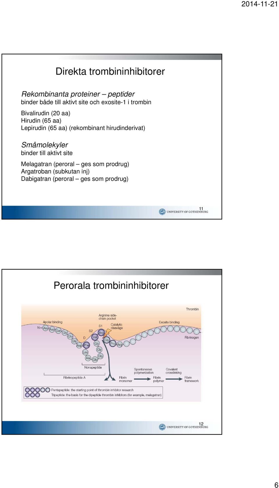 hirudinderivat) Småmolekyler binder till aktivt site Melagatran (peroral ges som prodrug)