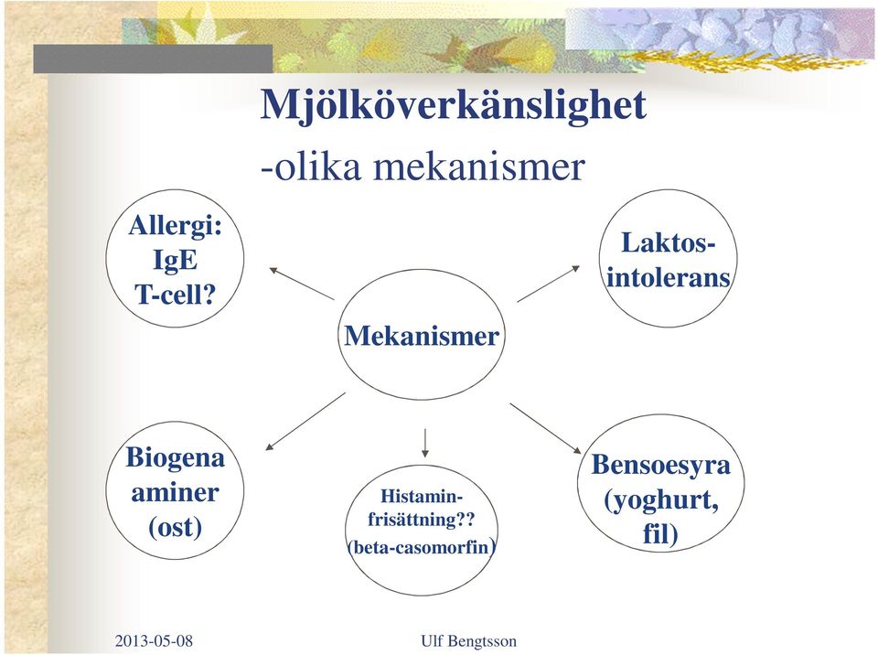 Mekanismer Biogena aminer (ost)