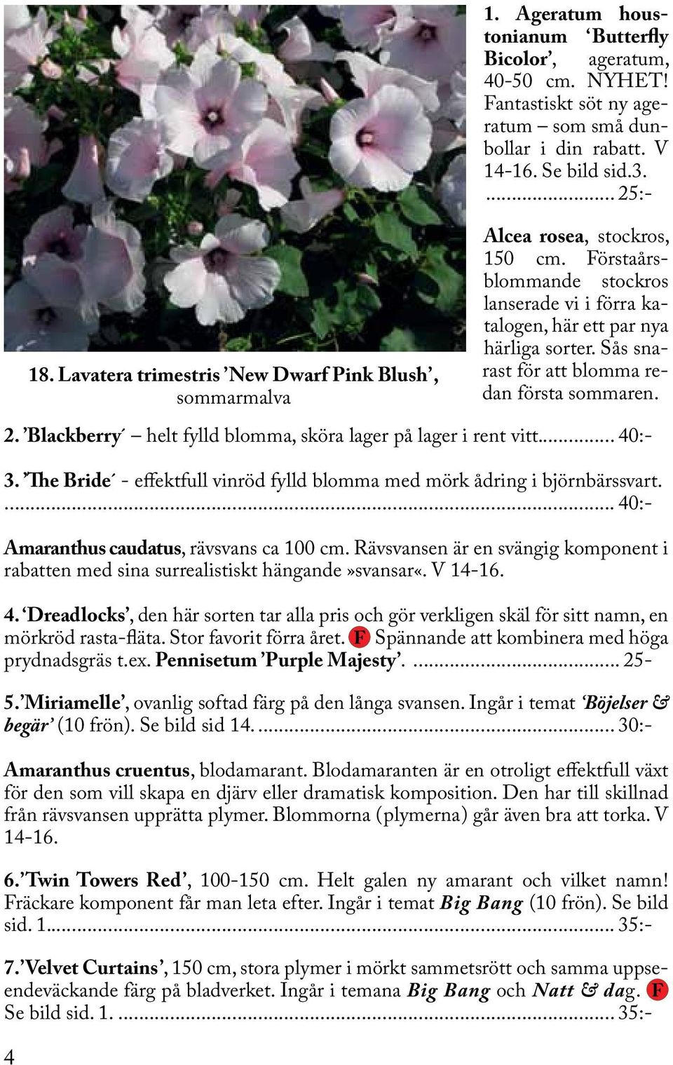 .. 40:- 3. The Bride - effektfull vinröd fylld blomma med mörk ådring i björnbärssvart.... 40:- Amaranthus caudatus, rävsvans ca 100 cm.