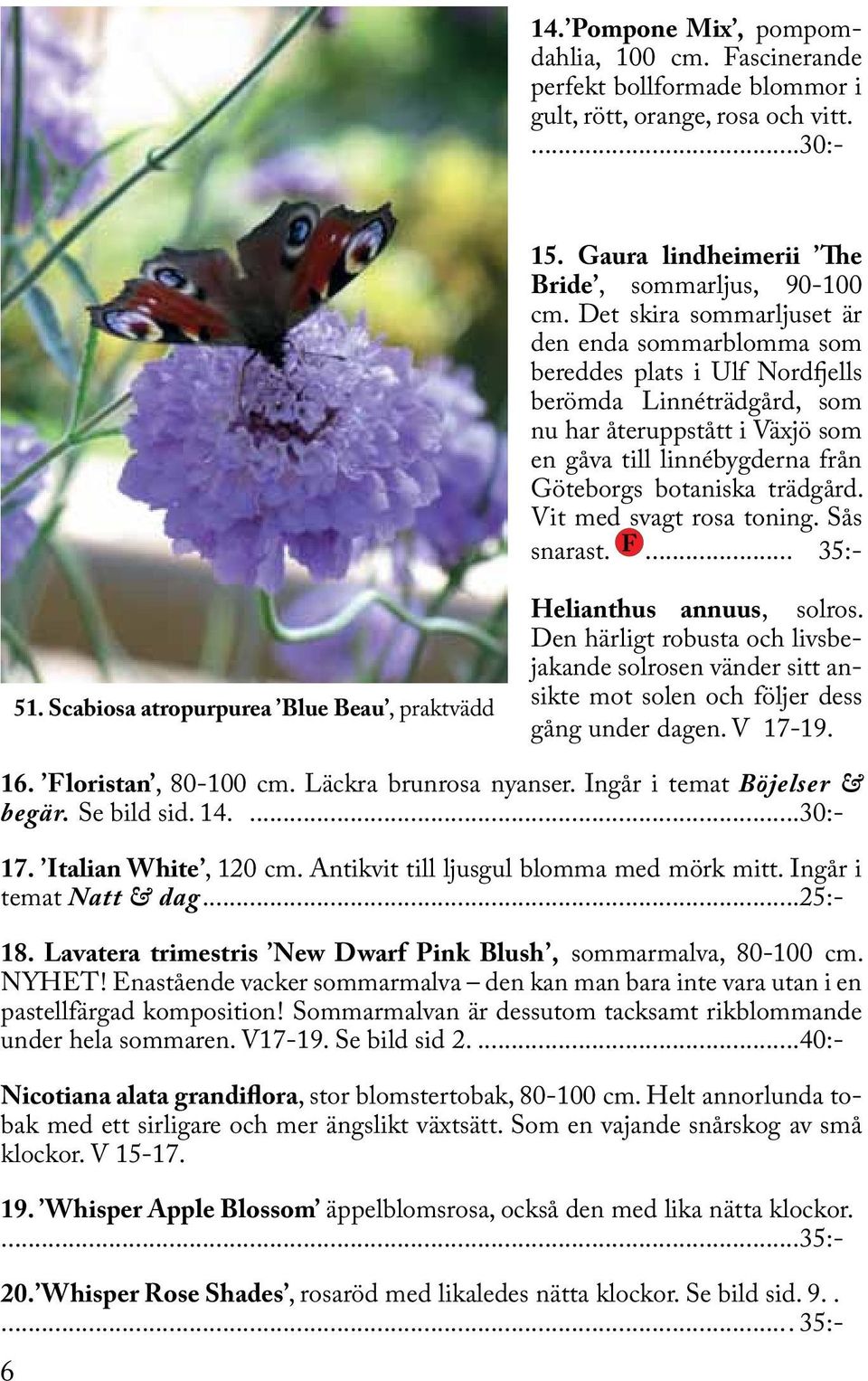 trädgård. Vit med svagt rosa toning. Sås snarast. F... 35:- 51. Scabiosa atropurpurea Blue Beau, praktvädd Helianthus annuus, solros.