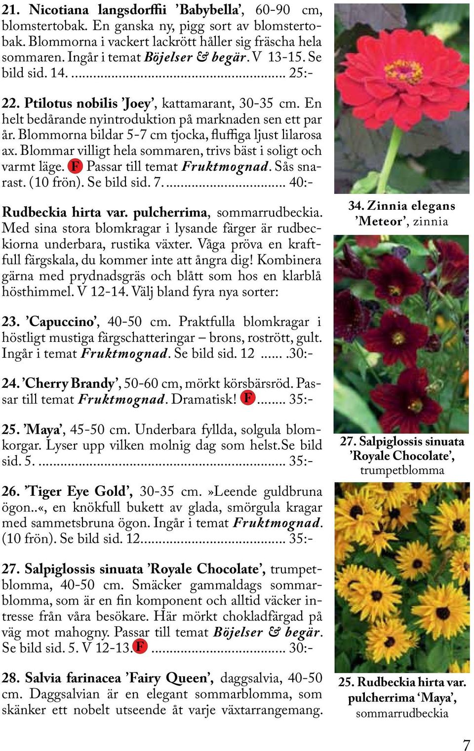 Blommorna bildar 5-7 cm tjocka, fluffiga ljust lilarosa ax. Blommar villigt hela sommaren, trivs bäst i soligt och varmt läge. F Passar till temat Fruktmognad. Sås snarast. (10 frön). Se bild sid. 7.