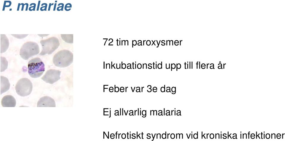 Feber var 3e dag Ej allvarlig