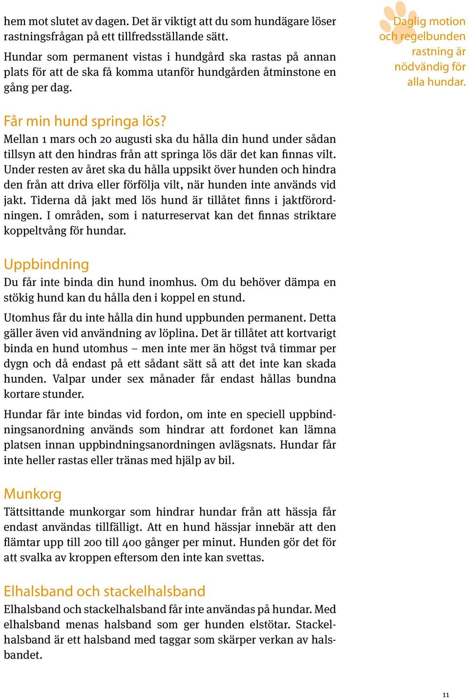 Daglig motion och regelbunden rastning är nödvändig för alla hundar. Får min hund springa lös?