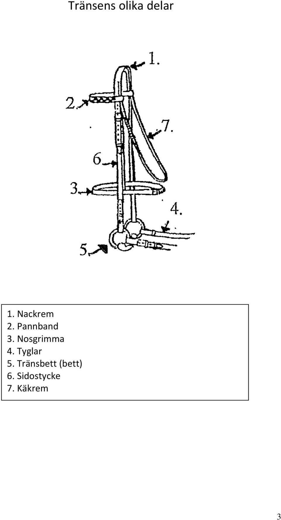 Nosgrimma 4. Tyglar 5.