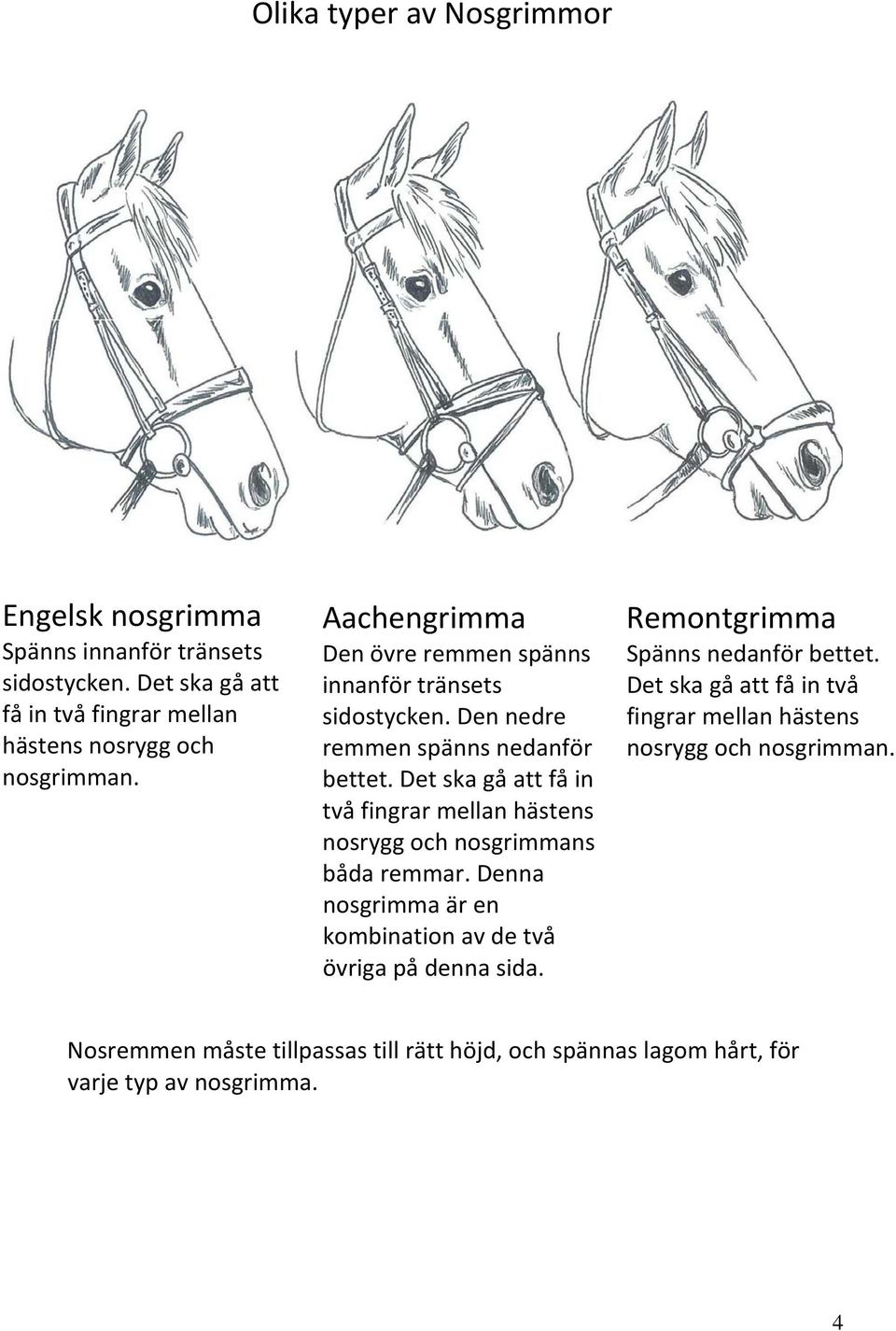 Den nedre remmen spänns nedanför bettet. Det ska gå att få in två fingrar mellan hästens nosrygg och nosgrimmans båda remmar.