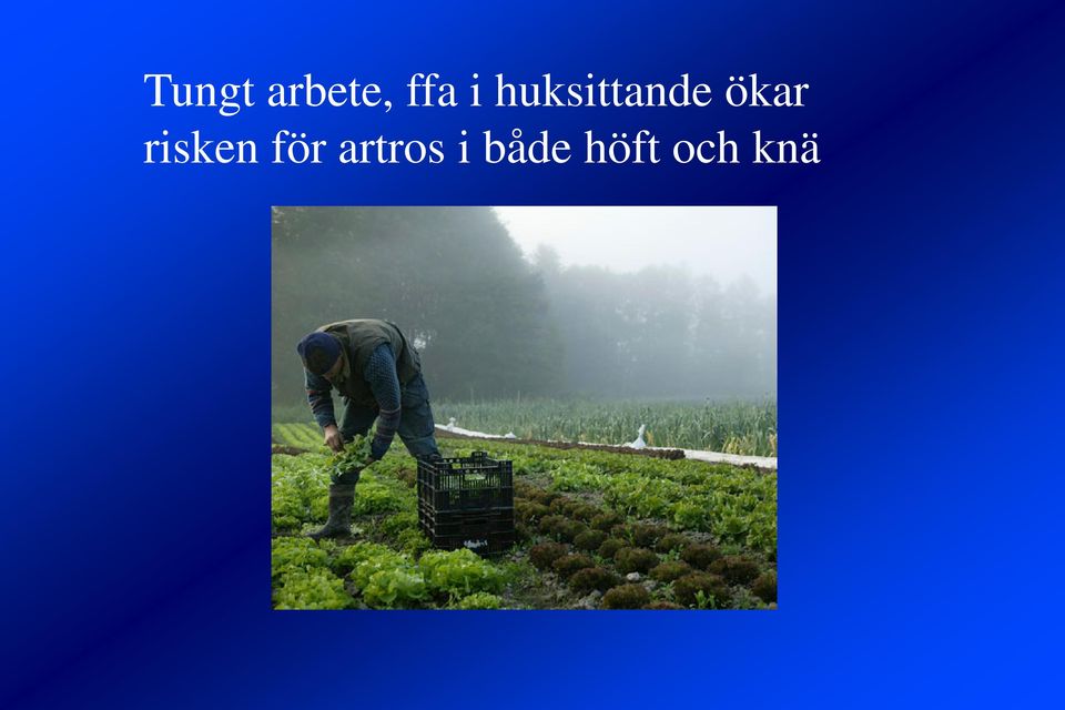 risken för artros