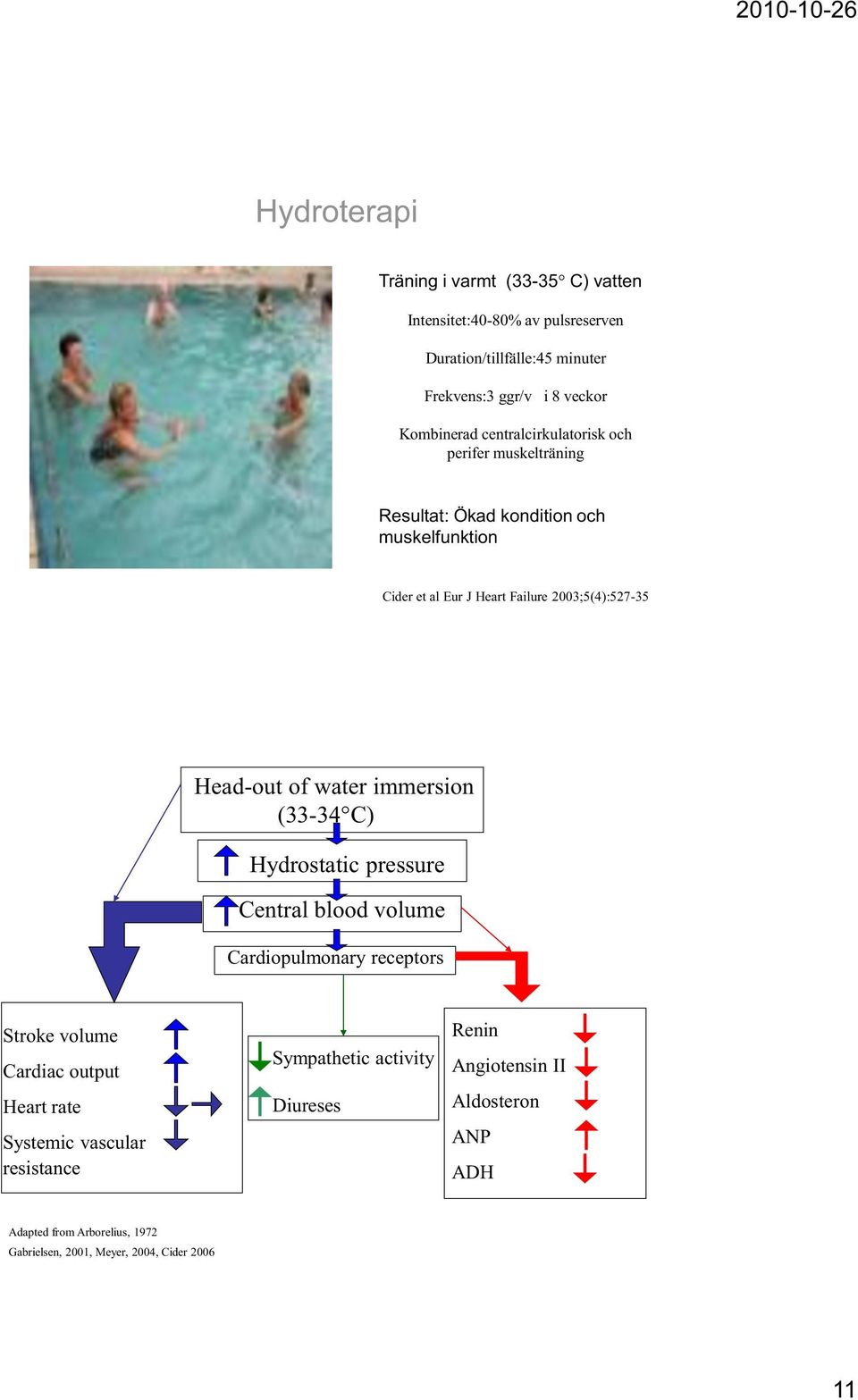 water immersion (33-34 C) Hydrostatic pressure Central blood volume Cardiopulmonary receptors Stroke volume Cardiac output Heart rate Systemic vascular