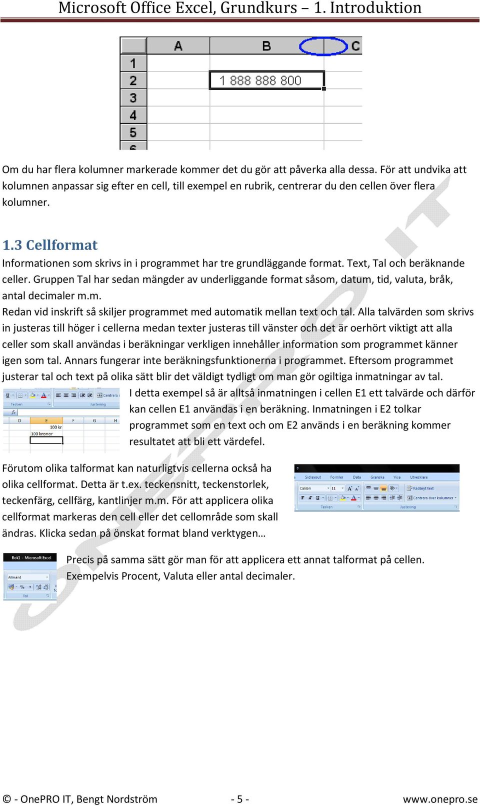 3 Cellformat Informationen som skrivs in i programmet har tre grundläggande format. Text, Tal och beräknande celler.