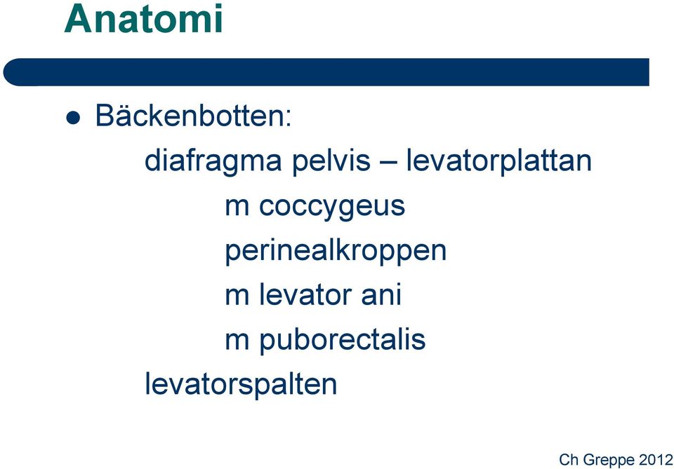 coccygeus perinealkroppen m