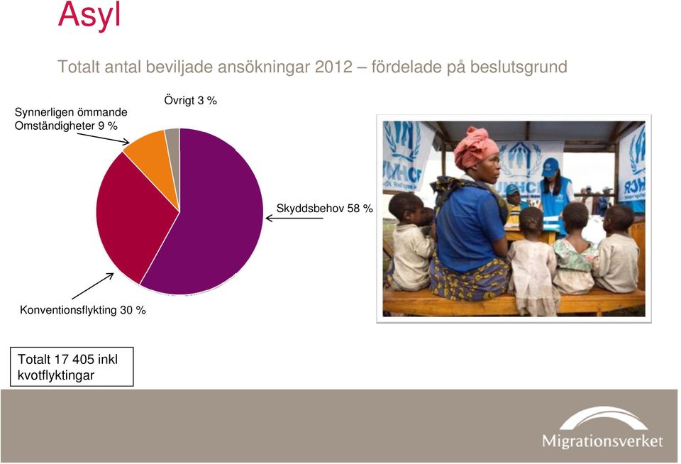 Omständigheter 9 % Övrigt 3 % Skyddsbehov 58 %