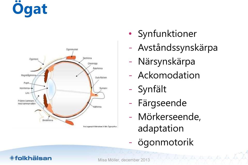 - Ackomodation - Synfält -