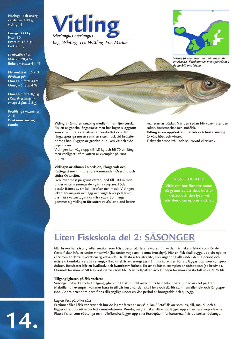 0,1 g Fettlösliga vitaminer: A, E B-vitamin: niacin, tiamin Vitling är ännu en smaklig medlem i familjen torsk. Fisken är ganska långsträckt men har ingen skäggtöm som vuxen.