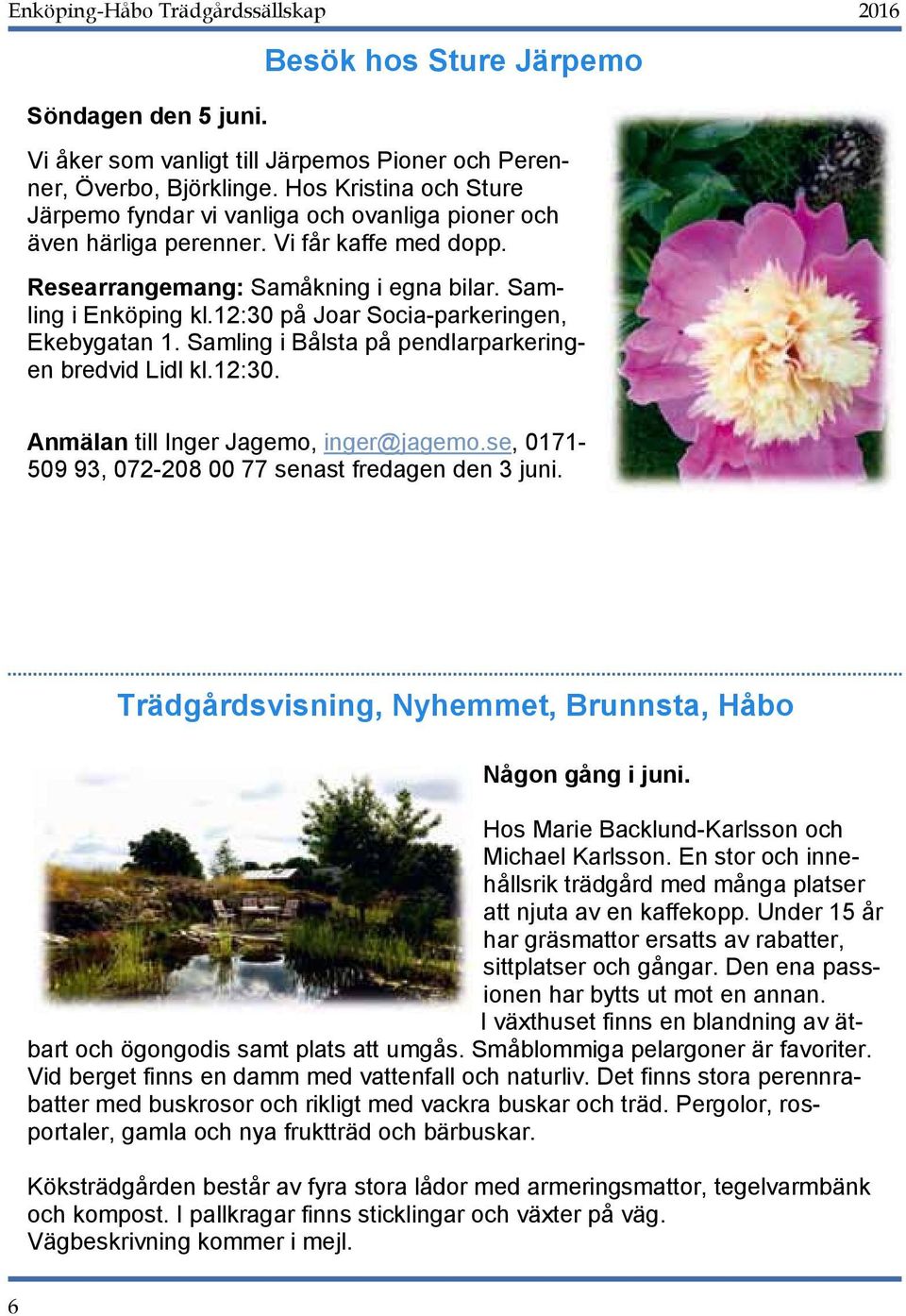 Ulla Hellström, Hos Kristina Vallby, och Torstuna, Sture Vallby, Torstuna, Gjuta i betong och Järpemo fyndar vi vanliga och ovanliga pioner och även härliga Gjuta perenner.