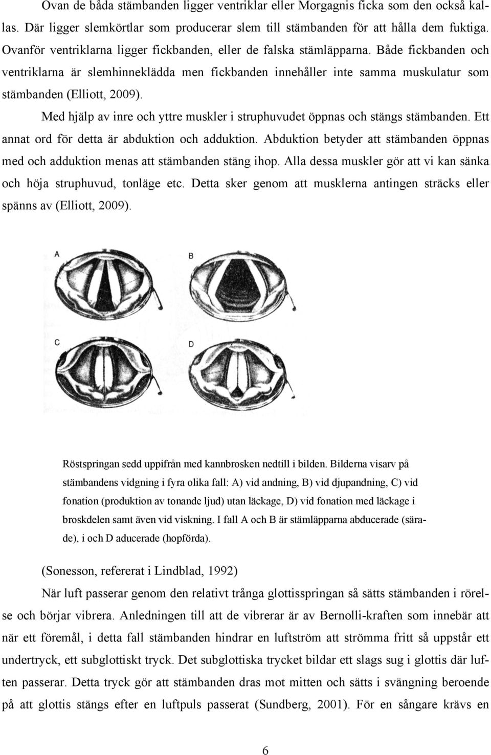Både fickbanden och ventriklarna är slemhinneklädda men fickbanden innehåller inte samma muskulatur som stämbanden (Elliott, 2009).