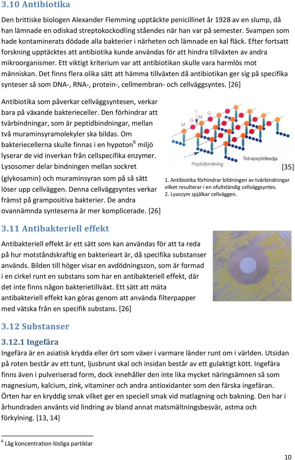 Efter fortsatt forskning upptäcktes att antibiotika kunde användas för att hindra tillväxten av andra mikroorganismer. Ett viktigt kriterium var att antibiotikan skulle vara harmlös mot människan.