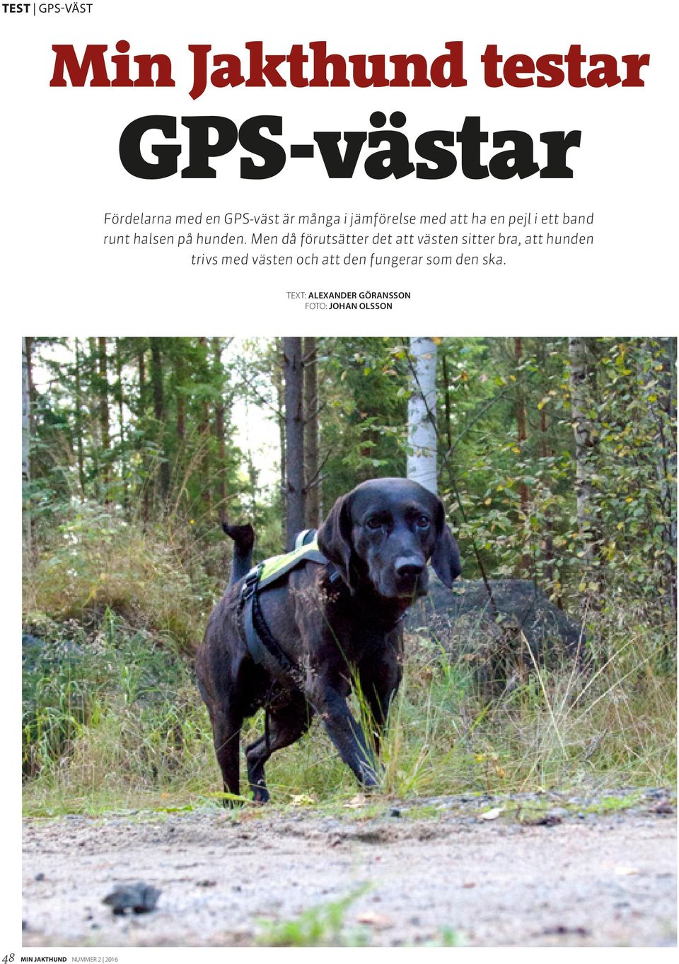 Men då förutsätter det att västen sitter bra, att hunden trivs med