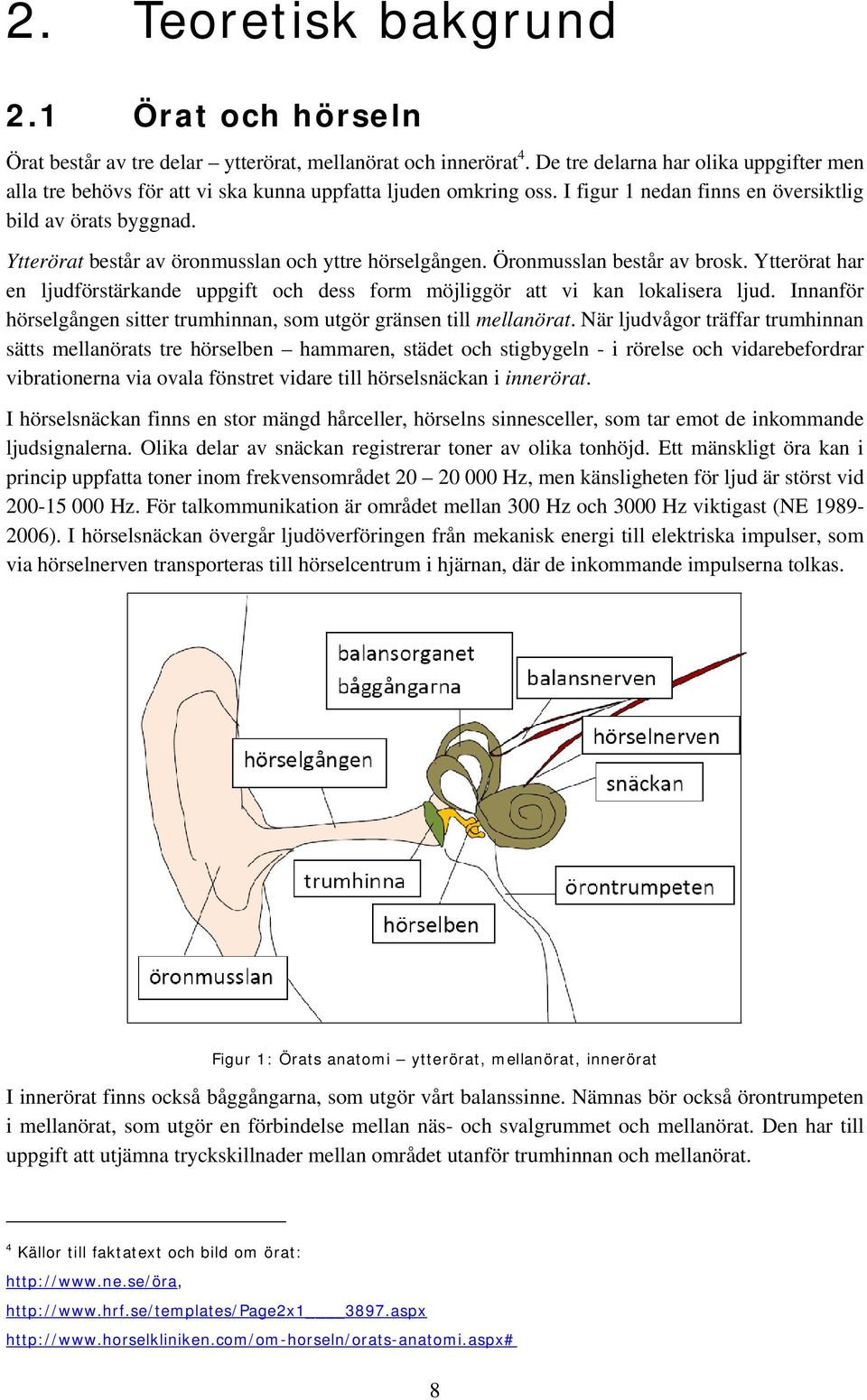 Ytterörat består av öronmusslan och yttre hörselgången. Öronmusslan består av brosk. Ytterörat har en ljudförstärkande uppgift och dess form möjliggör att vi kan lokalisera ljud.