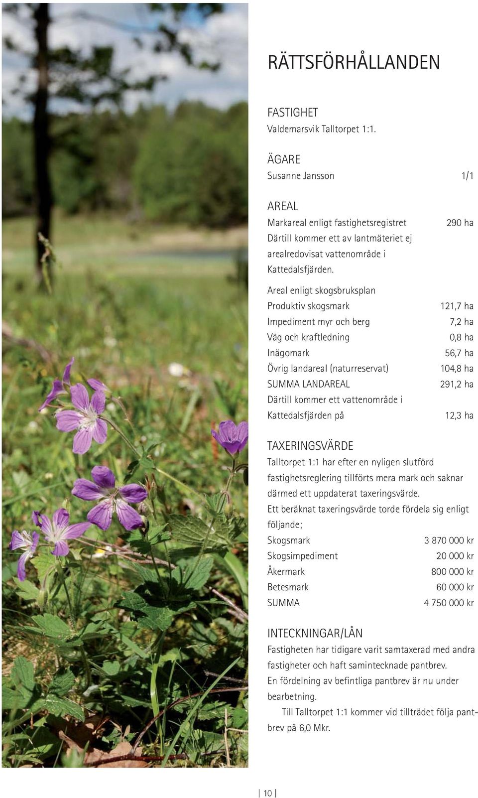 Areal enligt skogsbruksplan Produktiv skogsmark Impediment myr och berg Väg och kraftledning Inägomark Övrig landareal (naturreservat) SUMMA LANDAREAL Därtill kommer ett vattenområde i