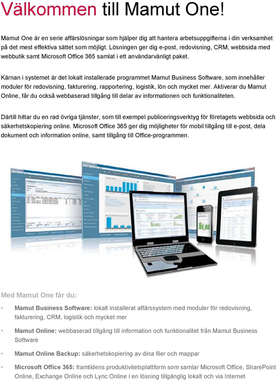 Kärnan i systemet är det lokalt installerade programmet Mamut Business Software, som innehåller moduler för redovisning, fakturering, rapportering, logistik, lön och mycket mer.