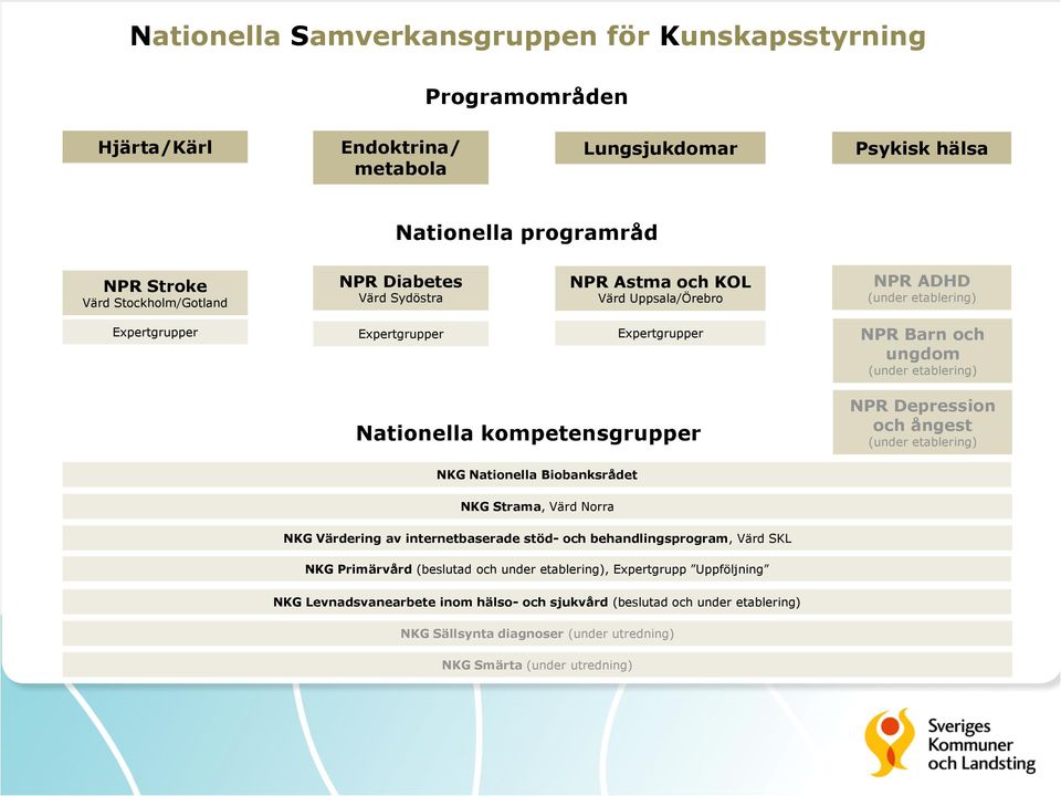 kompetensgrupper NPR Depression och ångest (under etablering) NKG Nationella Biobanksrådet NKG Strama, Värd Norra NKG Värdering av internetbaserade stöd- och behandlingsprogram, Värd SKL NKG