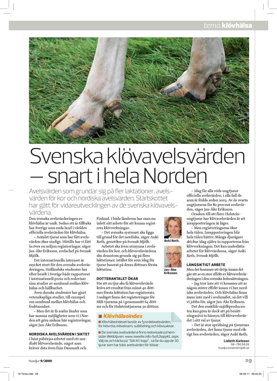 Sedan ett år tillbaka har Sverige som enda land i världen officiella avelsvärden för klövhälsa. Antalet tjurar som har fått avelsvärden ökar stadigt.