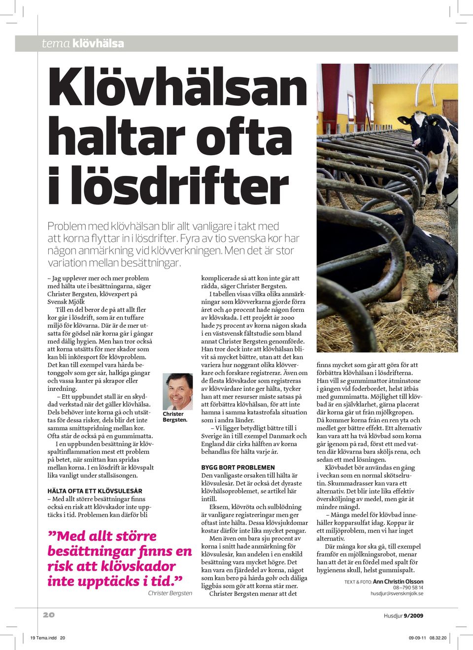Jag upplever mer och mer problem med hälta ute i besättningarna, säger Christer Bergsten, klövexpert på Svensk Mjölk Till en del beror de på att allt fler kor går i lösdrift, som är en tuffare miljö