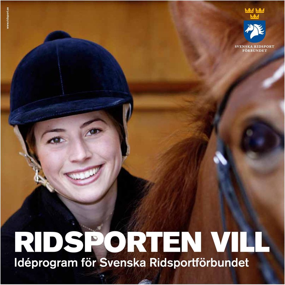 VILL Idéprogram