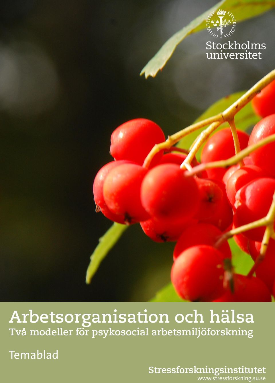 arbetsmiljöforskning Temablad