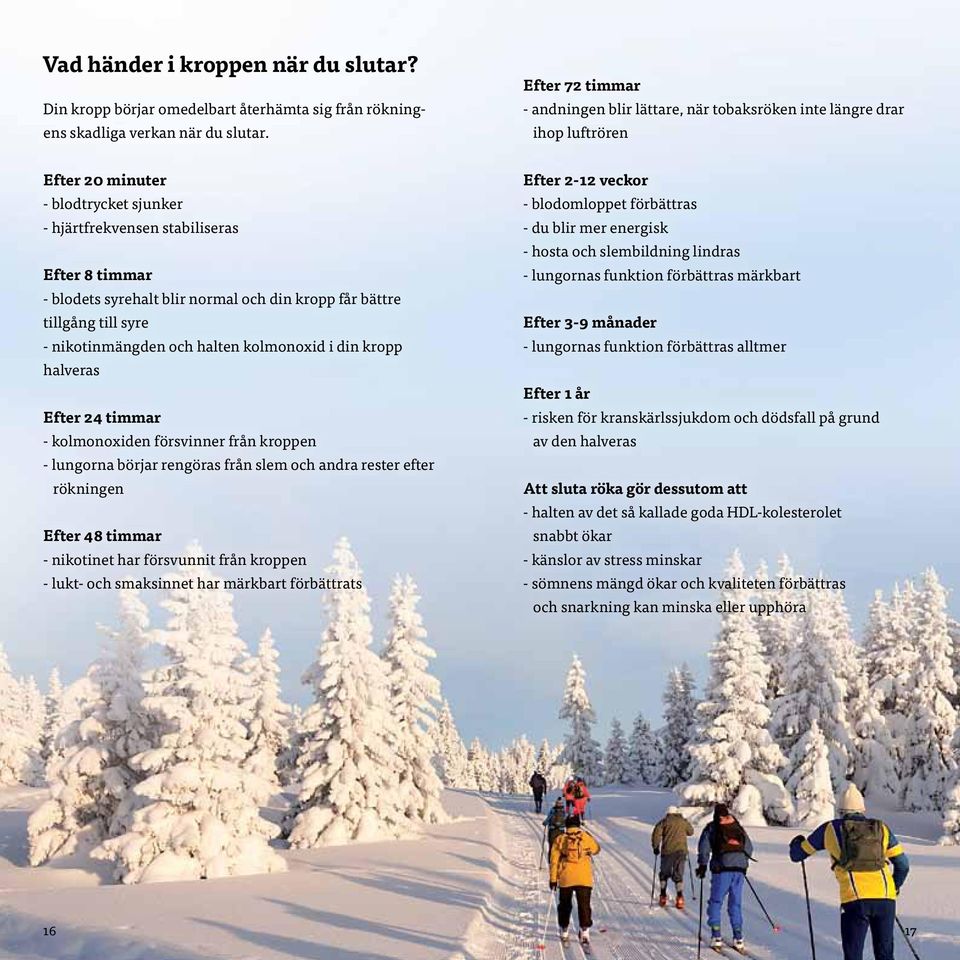normal och din kropp får bättre tillgång till syre - nikotinmängden och halten kolmonoxid i din kropp halveras Efter 24 timmar - kolmonoxiden försvinner från kroppen - lungorna börjar rengöras från