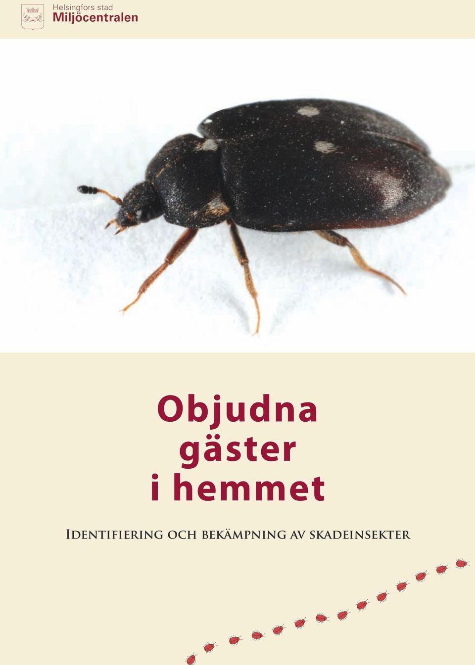 Identifiering och