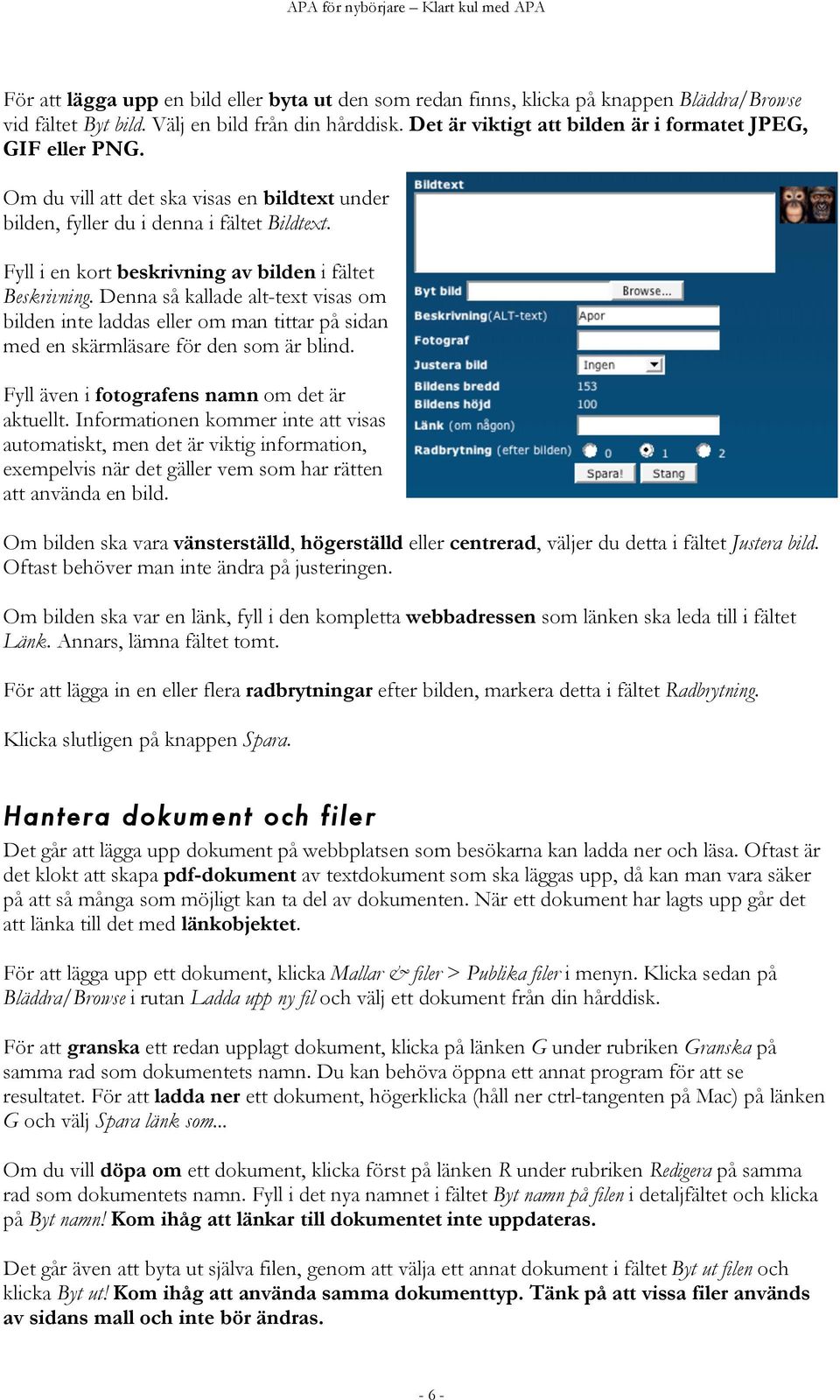 Fyll i en kort beskrivning av bilden i fältet Beskrivning. Denna så kallade alt-text visas om bilden inte laddas eller om man tittar på sidan med en skärmläsare för den som är blind.