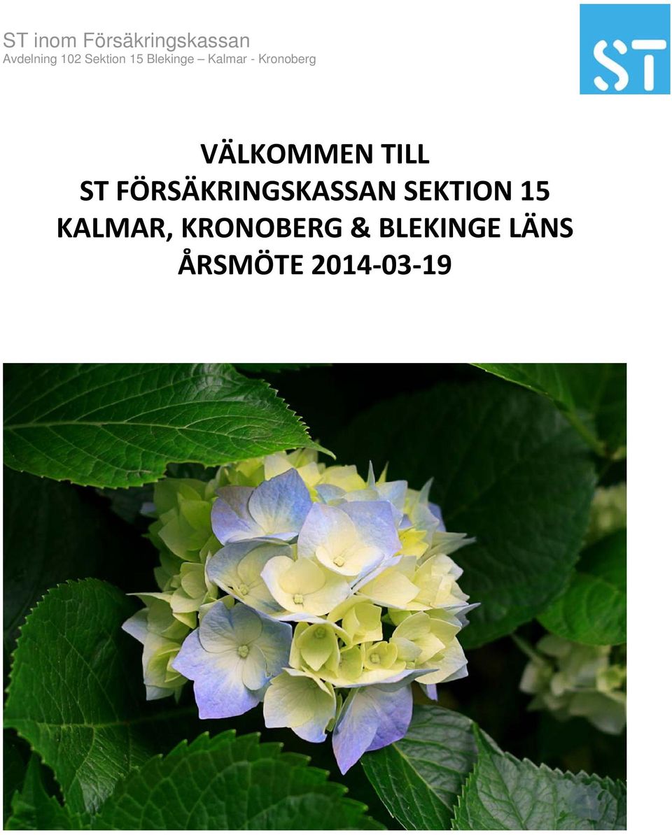 SEKTION 15 KALMAR,