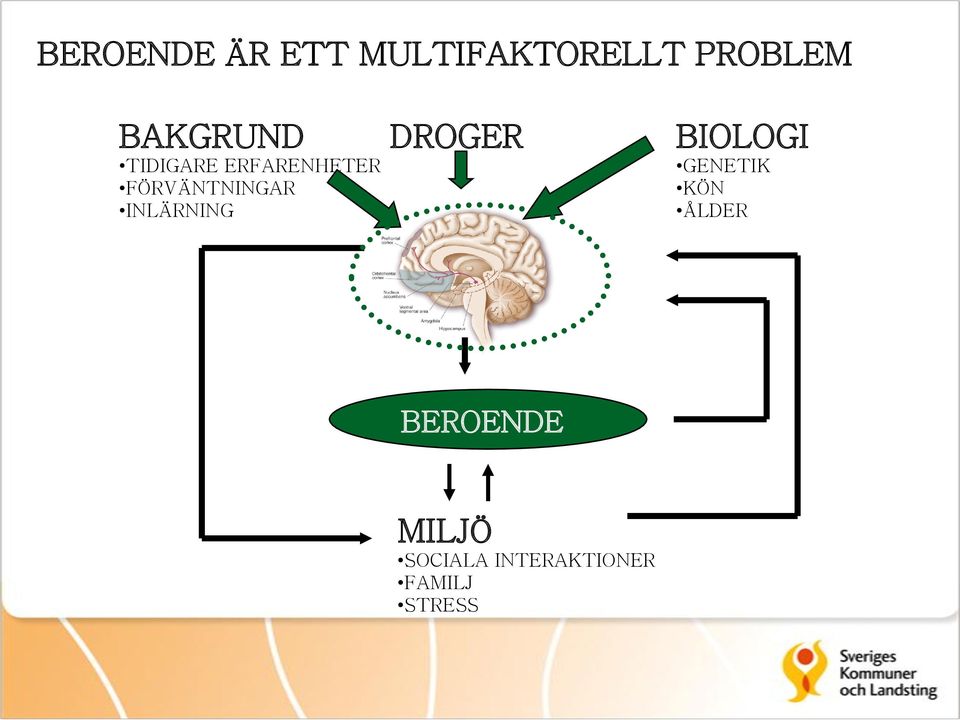 INLÄRNING DROGER BIOLOGI GENETIK KÖN ÅLDER