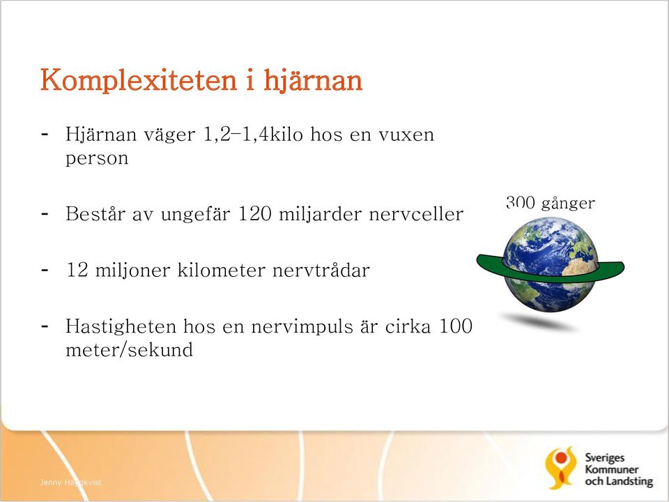 300 gånger - 12 miljoner kilometer nervtrådar -