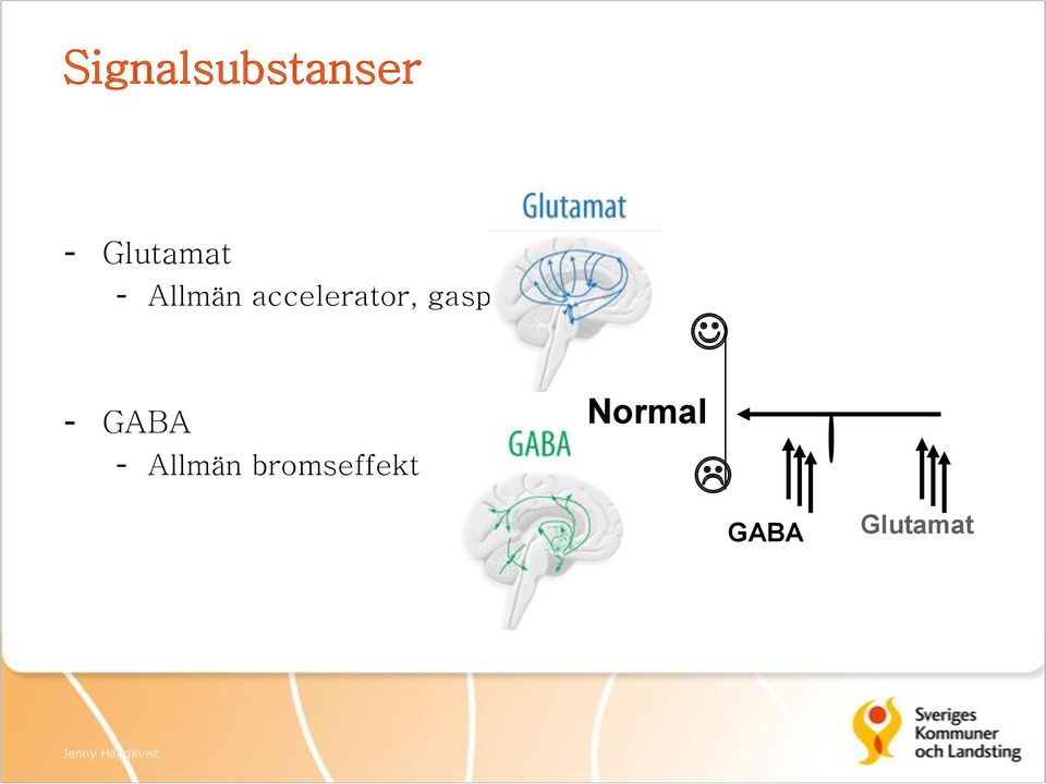 Normal - GABA - Allmän