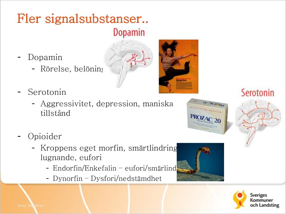 depression, maniska tillstånd - Opioider - Kroppens eget morfin,