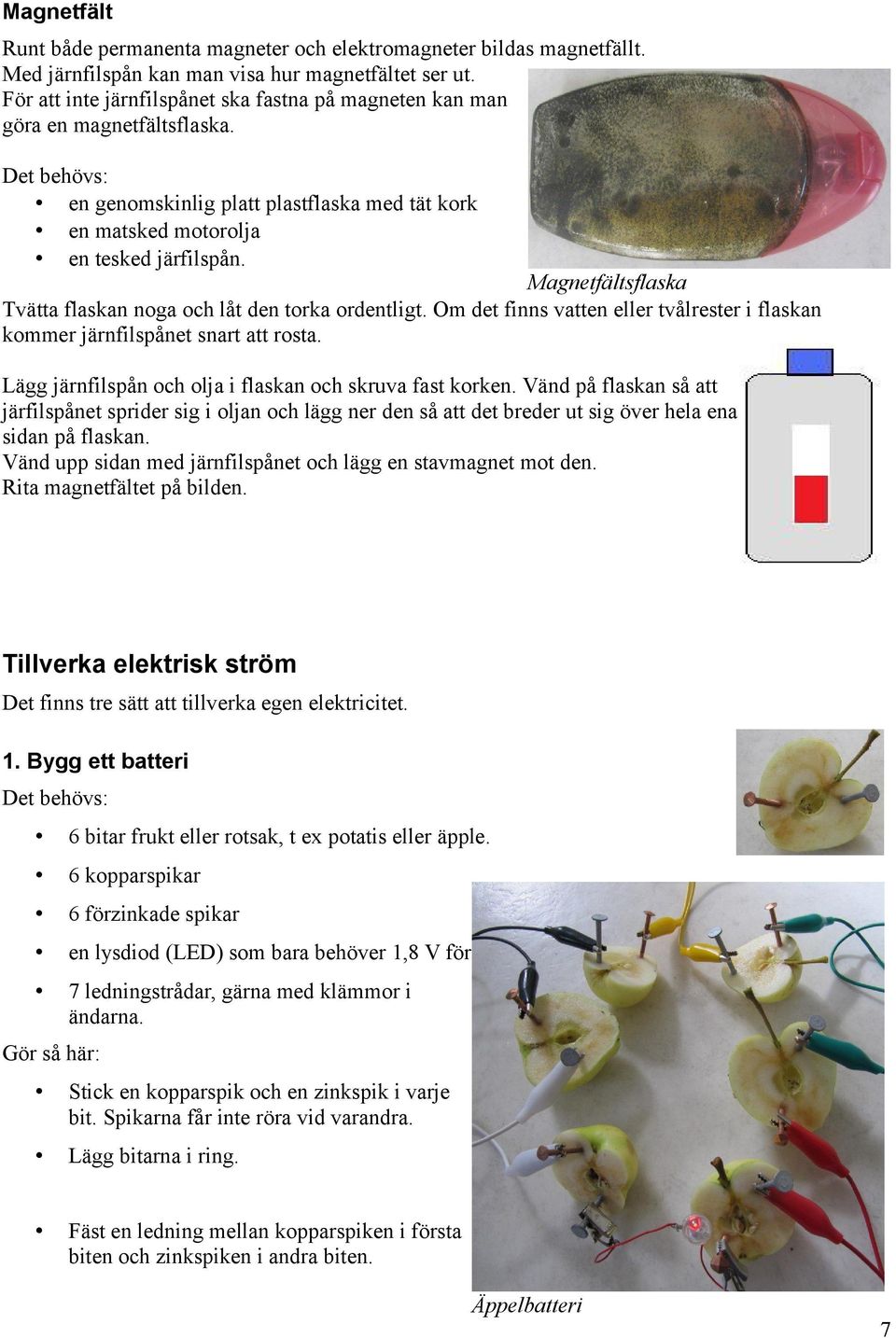 Magnetfältsflaska Tvätta flaskan noga och låt den torka ordentligt. Om det finns vatten eller tvålrester i flaskan kommer järnfilspånet snart att rosta.